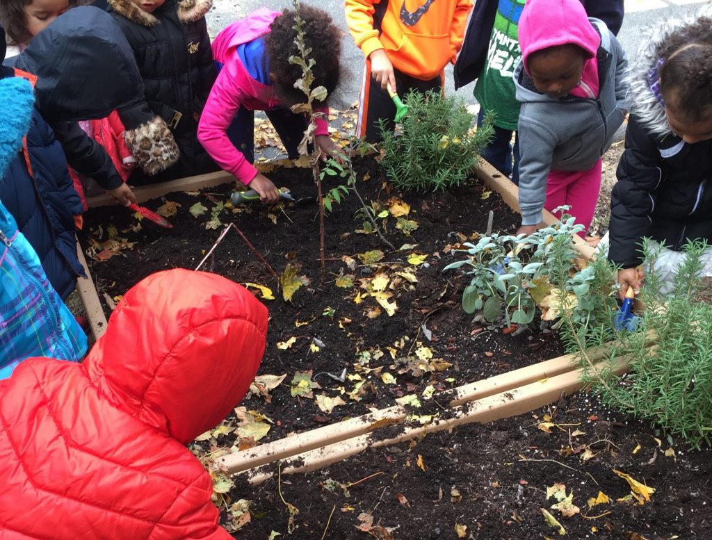 Preschoolers at The Right Place on Sigourney Street in Hartford get a hands-on experience in gardening and nutrition by the Little City Sprouts program of Hartford Food System and UConn Health (Photo: Little City Sprouts).