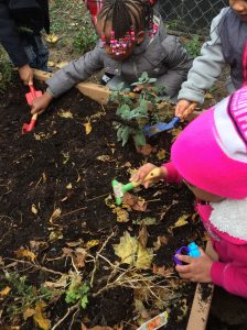 Hartford preschoolers participating in the Little City Sprouts gardening and nutrition education program (Photo: Little City Sprouts).