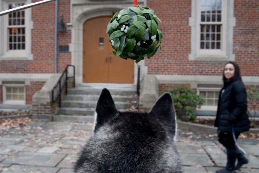 Jonathan is giving out kisses under the mistletoe to members of UConn Nation this holiday season. (Angelina Reyes/UConn Photo)