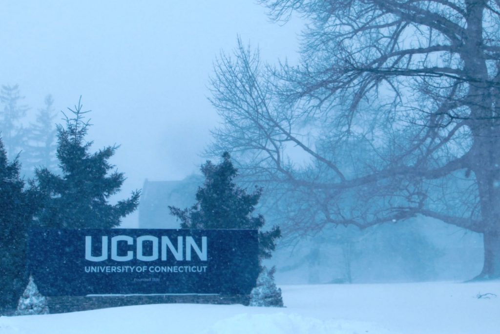 Scenes from a winter snowstorm on campus. (Bret Eckhardt/UConn Photo)