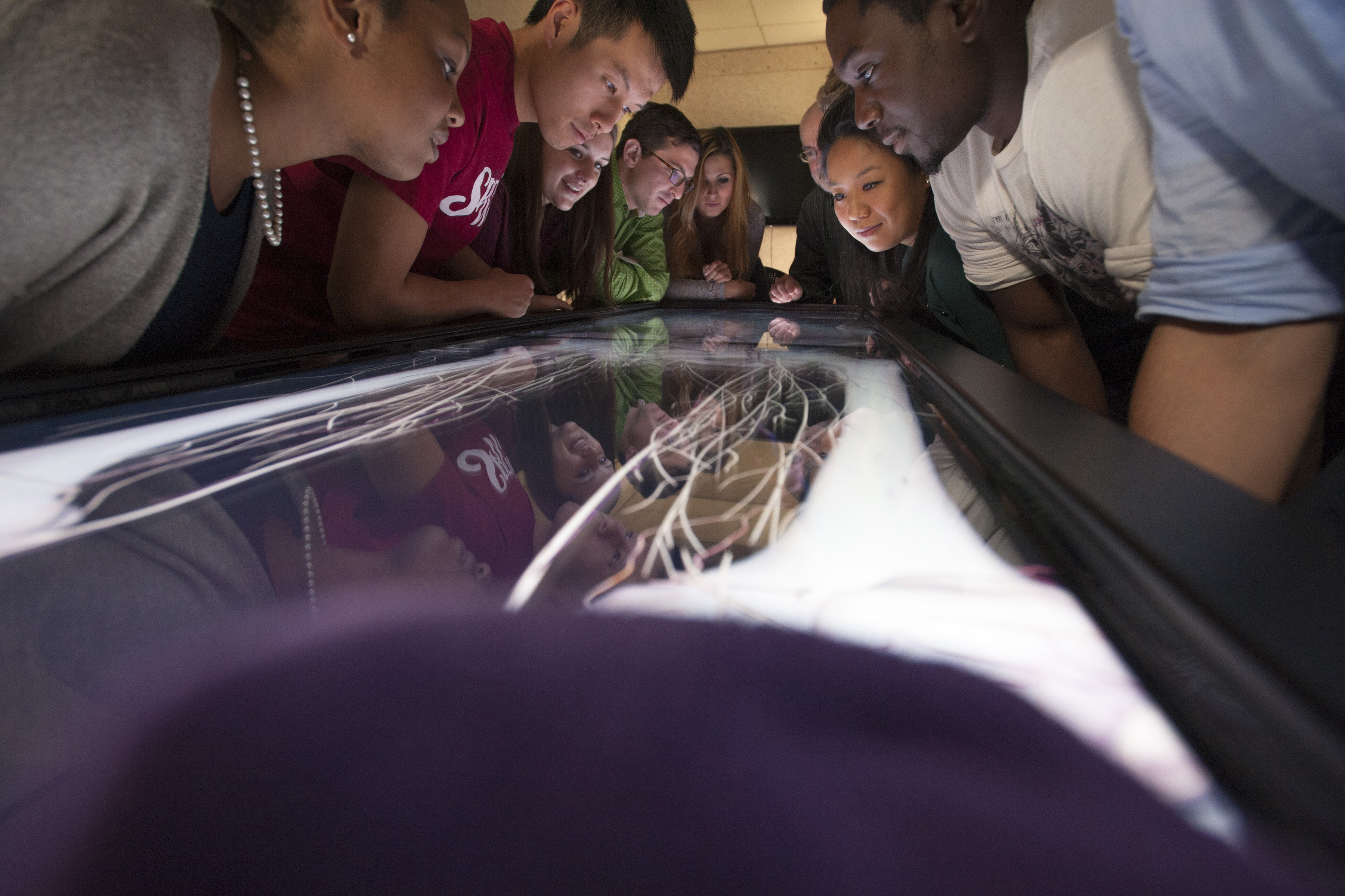 UConn medical students gather around a digital 3-D simulation of a cadaver. (Sean Flynn/UConn Photo)