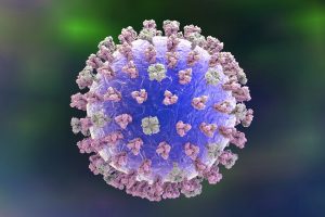 Influenza virus. Computer illustration showing the surface glycoprotein spikes hemagglutinin (violet) and neuraminidase (green). (Getty Images)