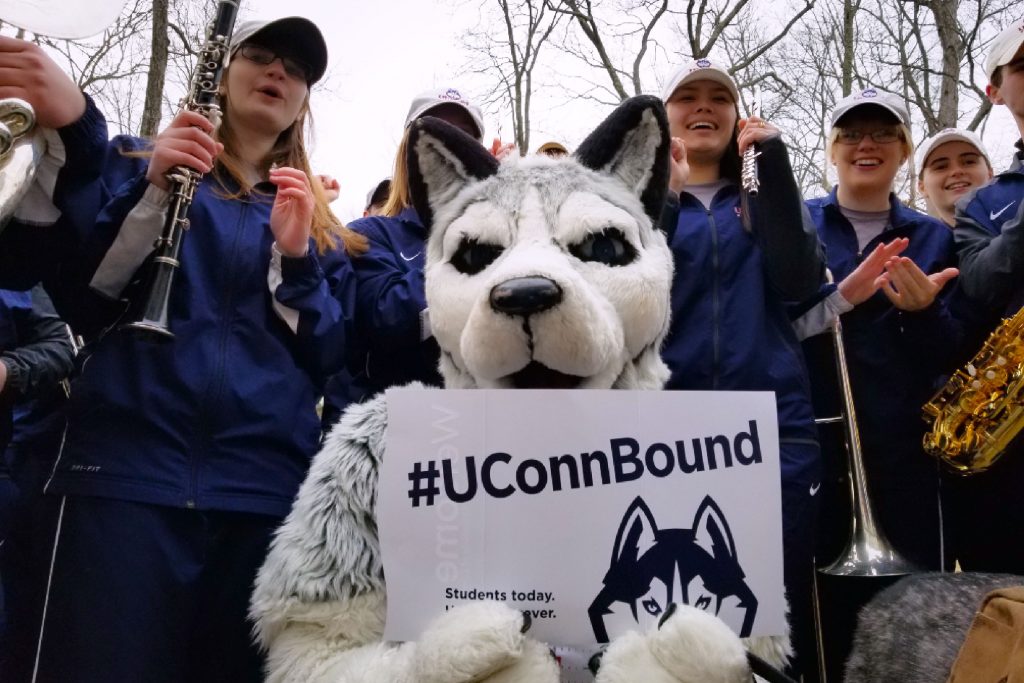 Jonathan the Husky delivers an admission letter to a student, feted by members of the UConn Marching Band. (Bret Eckhardt/UConn Photo)