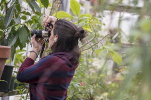 Marissa Aldieri '18 (CLAS), an individualized major, takes photos at the UConn Biodiversity Education and Research Greenhouses.