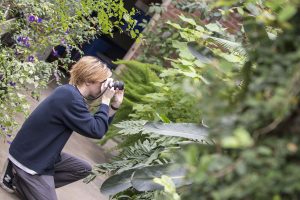 Mitch Britton '19 (SFA) takes photos for Intermediate Photography taught by Kaleigh Rusgrove at UConn's Biodiversity Education and Research Greenhouses on Feb. 12. (All photos by Garrett Spahn '18 (CLAS))