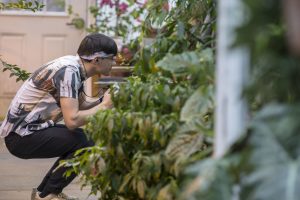 Robert Varszeji '20 (SFA) takes photos at the UConn Biodiversity Education and Research Greenhouses.