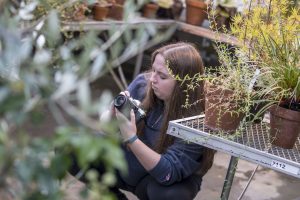 Alexis Abbotts '20 (SFA) takes photos at the UConn Biodiversity Education and Research Greenhouses.