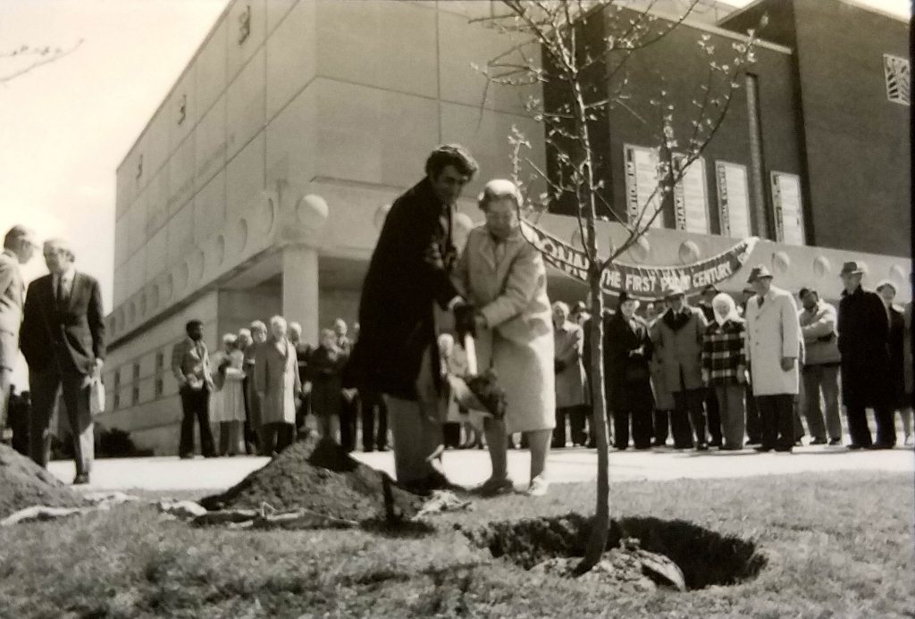 President John DiBiaggio and Harriet Jorgensen, widow of former President Albert Jorgensen, plant crab apple trees outside Jorgensen Auditorium on April 21, 1981, the day of UConn's centennial celebration. (Archives &amp; Special Collections, UConn Library)