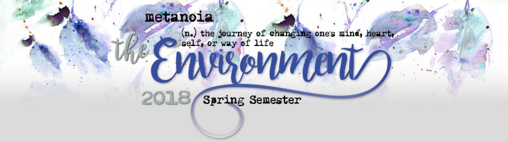 Graphic for the Environment Metanoia, Spring 2018