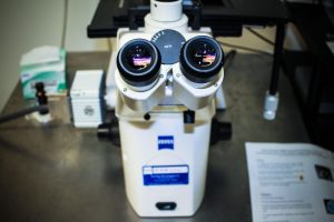 Imaging equipment housed in the Advanced Light Microscopy Facility. (Carson Stifel/UConn Photo)