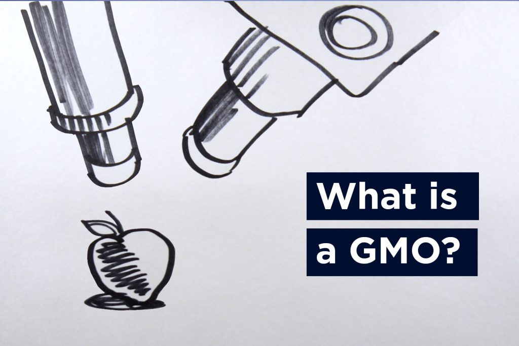With proposed new food labeling guidelines under public discussion, UConn's John Bovay clarifies what the term genetically modified organism really means. (John Bailey/UConn Illustration)