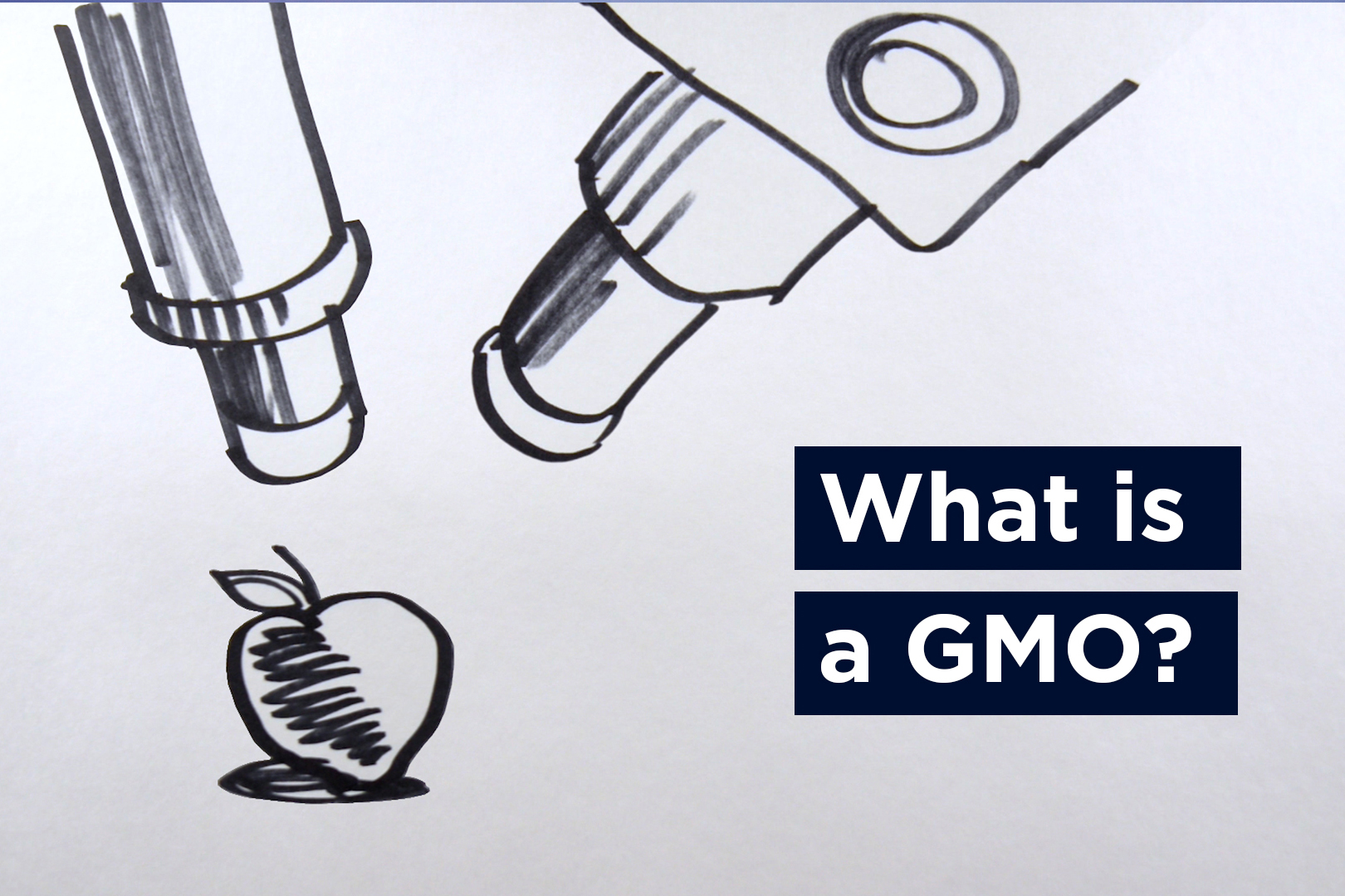 What Are GMOs? A Primer For FDA And USDA Labeling - UConn Today