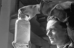 In 1948, a member of the Freshwater Biological Association examines a jar of water from Lake Windermere, Cumbria, teeming with plankton, tiny aquatic organisms which form the main diet of such small fish as perch. (Photo by Haywood Magee/Picture Post/Getty Images)