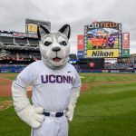 Jonathan the Husky attends a New York Mets baseball game at Citi Field in Queens New York on June 3, 2018. (Peter Morenus/UConn Photo)