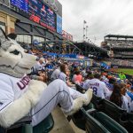 Jonathan the Husky watches a New York Mets baseball game from the stands at Citi Field in Queens New York on June 3, 2018. (Peter Morenus/UConn Photo)