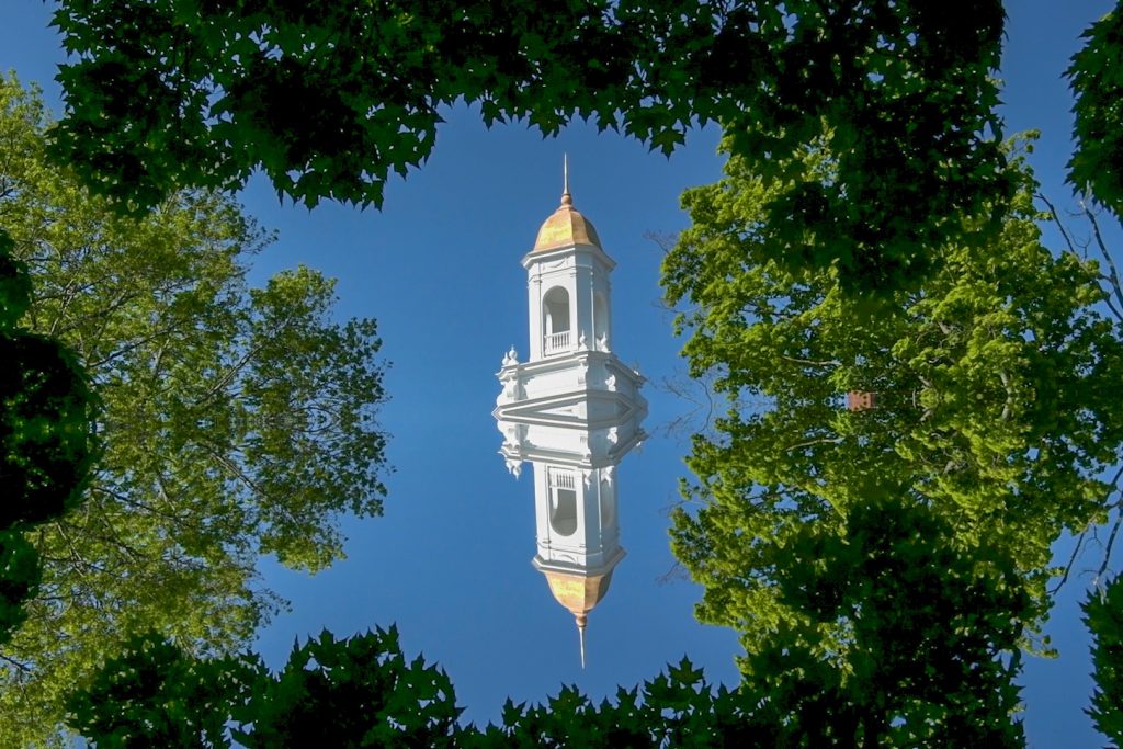 See UConn from a different perspective this summer. (Angelina Reyes/UConn Photo)