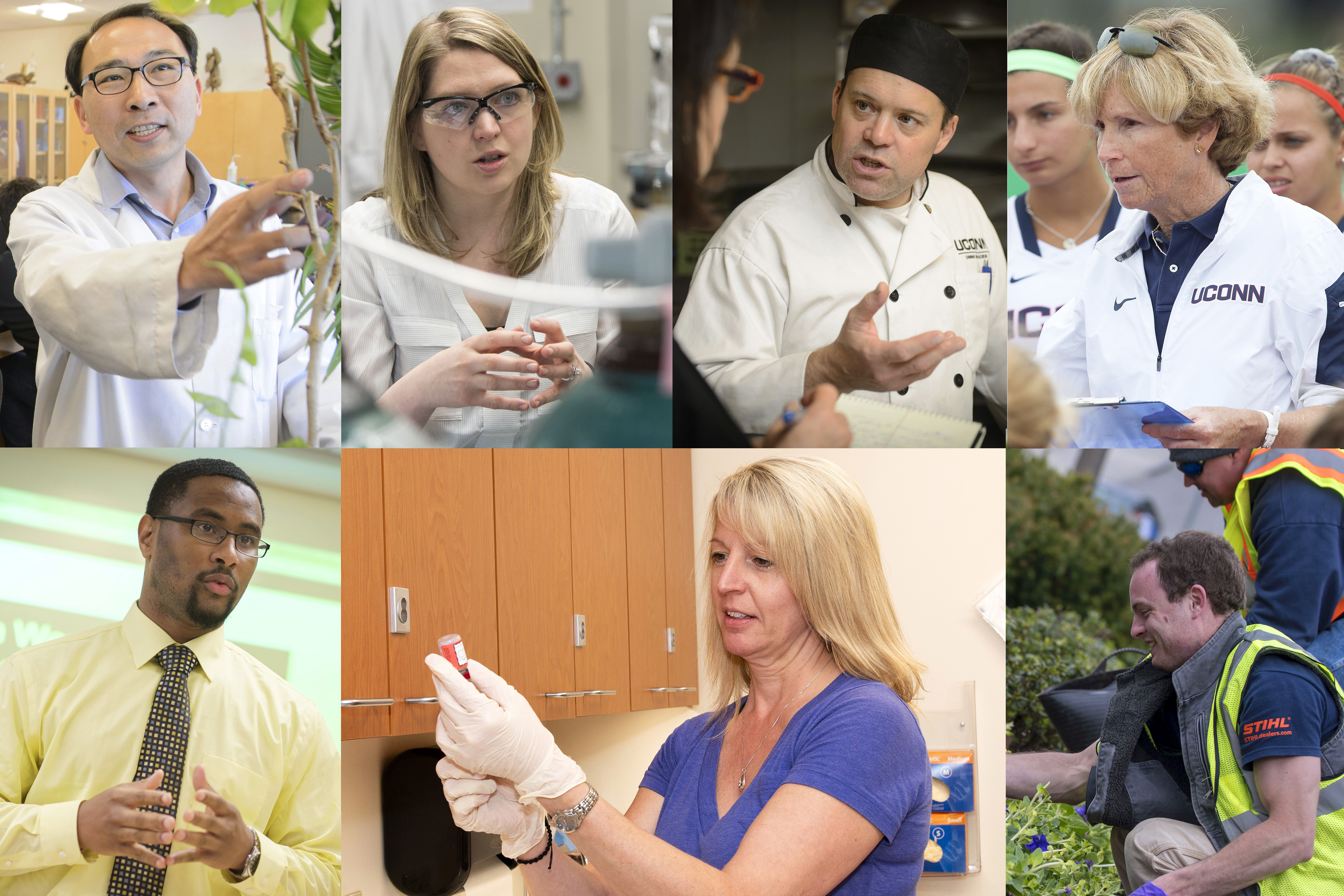A montage of UConn employee photos, including faculty and staff at several different campuses. (Sean Flynn/UConn Photo)