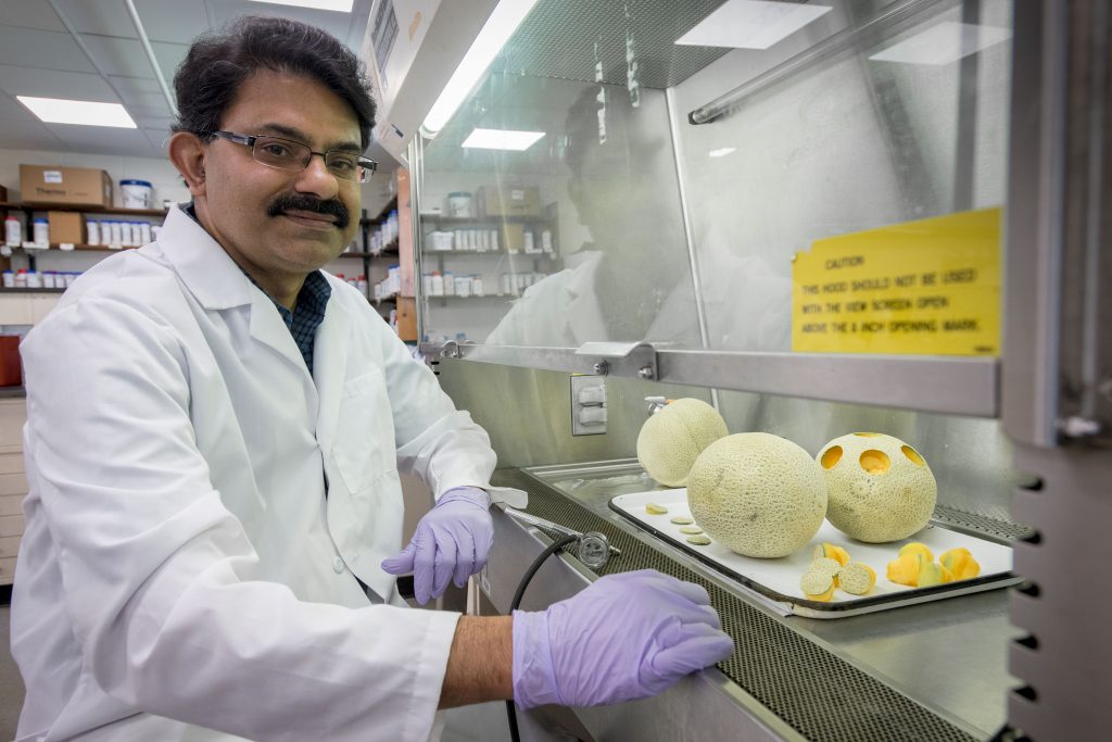 Researcher Kumar Venkitanarayanan at his lab in the George White Building. Kumar is studying the use of probiotics to disinfect cantaloupes and has found they are more effective than chlorine June 14, 2018. (Sean Flynn/UConn Photo)