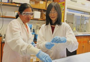 Xiuling Lu, right, and Rajeswari (Raji) Kasi are developing polymeric nanoparticles containing doxorubicin in hopes of more effectively treating cancer. (Karin Burgess/UConn Photo)