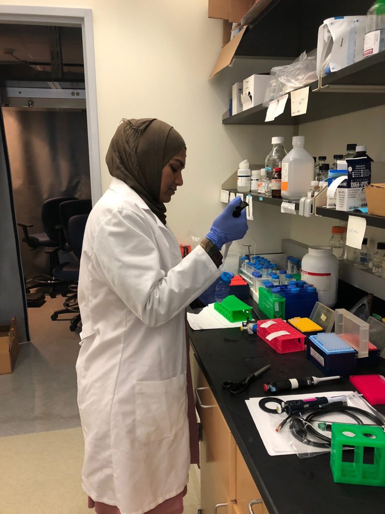 PIE fellow Affrin Ahmed, a second year UConn graduate student, in the lab. (UConn Health Photo)