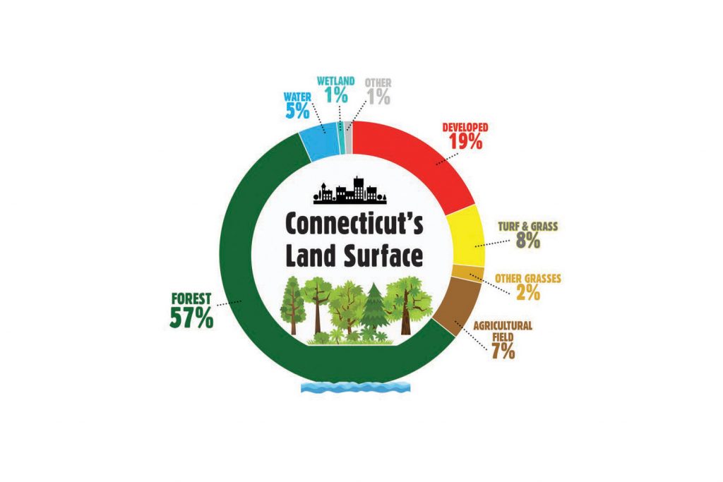 Percentages of Connecticut's land surface in 2015. (Graphic by Maxine Marcy for UConn)