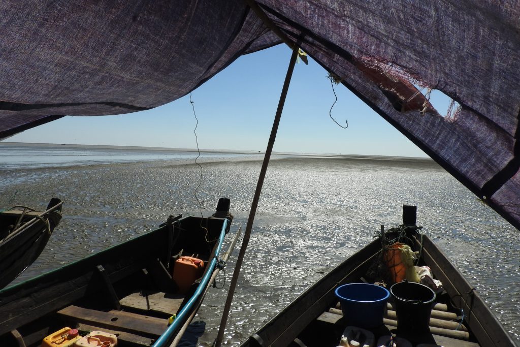 A view from the survey boats, while waiting for the tide to come in and allow travel to the next location, Gulf of Mottama. (Chris Elphick/UConn Photo)