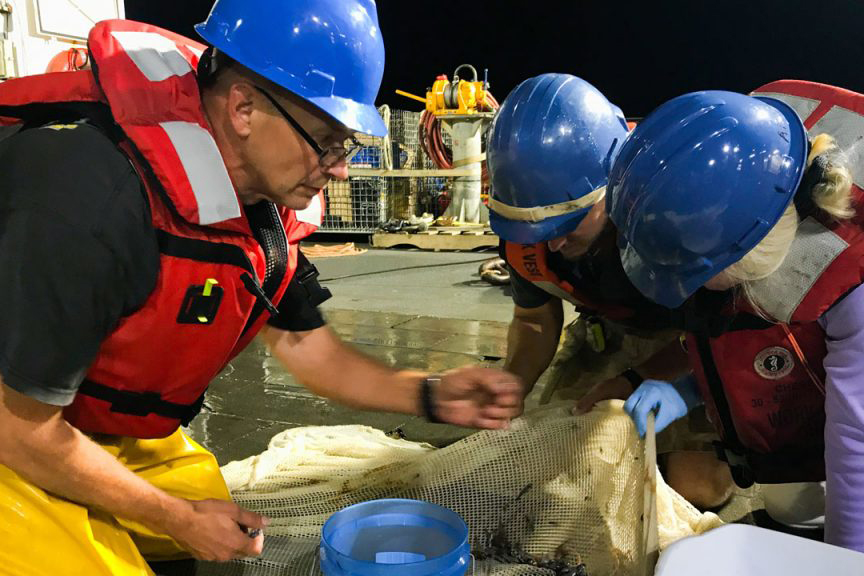 Researchers examine a trawl sample from the Ocean Twilight Zone on board the R/V Henry B. Bigelow. (Photo by Jennifer Berglund, Oh Sister Productions)