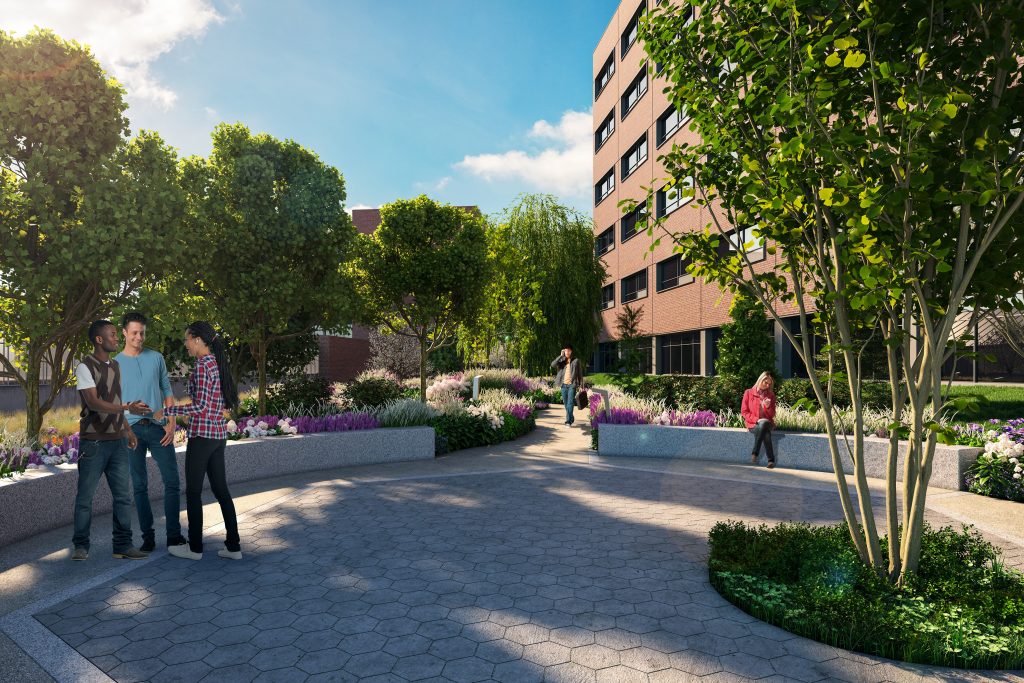 A rendering of the School of Pharmacy's new medicinal garden, which will be dedicated Sept. 8. .