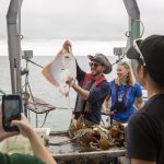 Kyle Swan, an instructor for Project Oceanology, shows off a large clearnose skate caught off the coast of Long Island Sound. (Bri Diaz/UConn Photo)