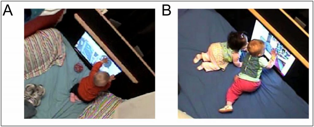 Examples of the individual- (left) and paired (right) exposure sessions in the study by the University of Connecticut and University of Washington. (Courtesy of the authors.)