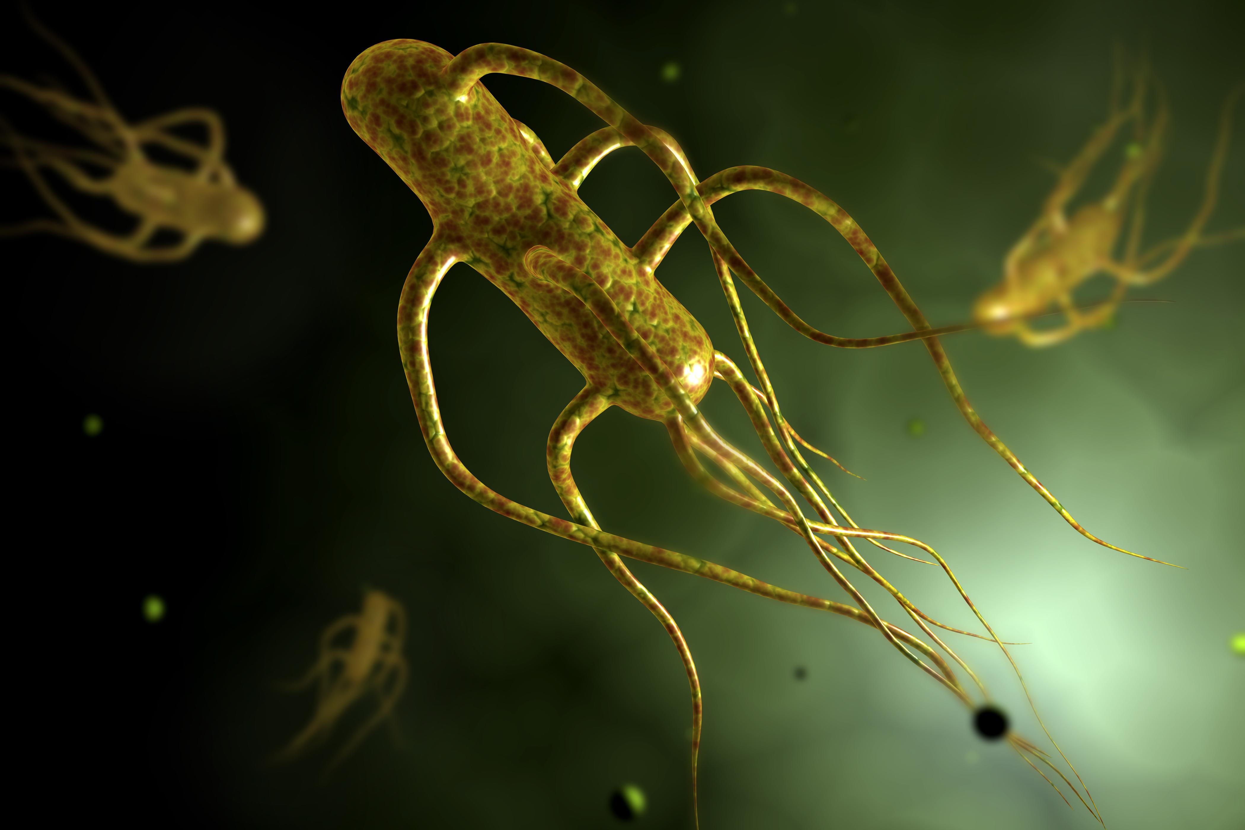 Conceptual image of salmonella typhi causing typhoid. (Getty Images)
