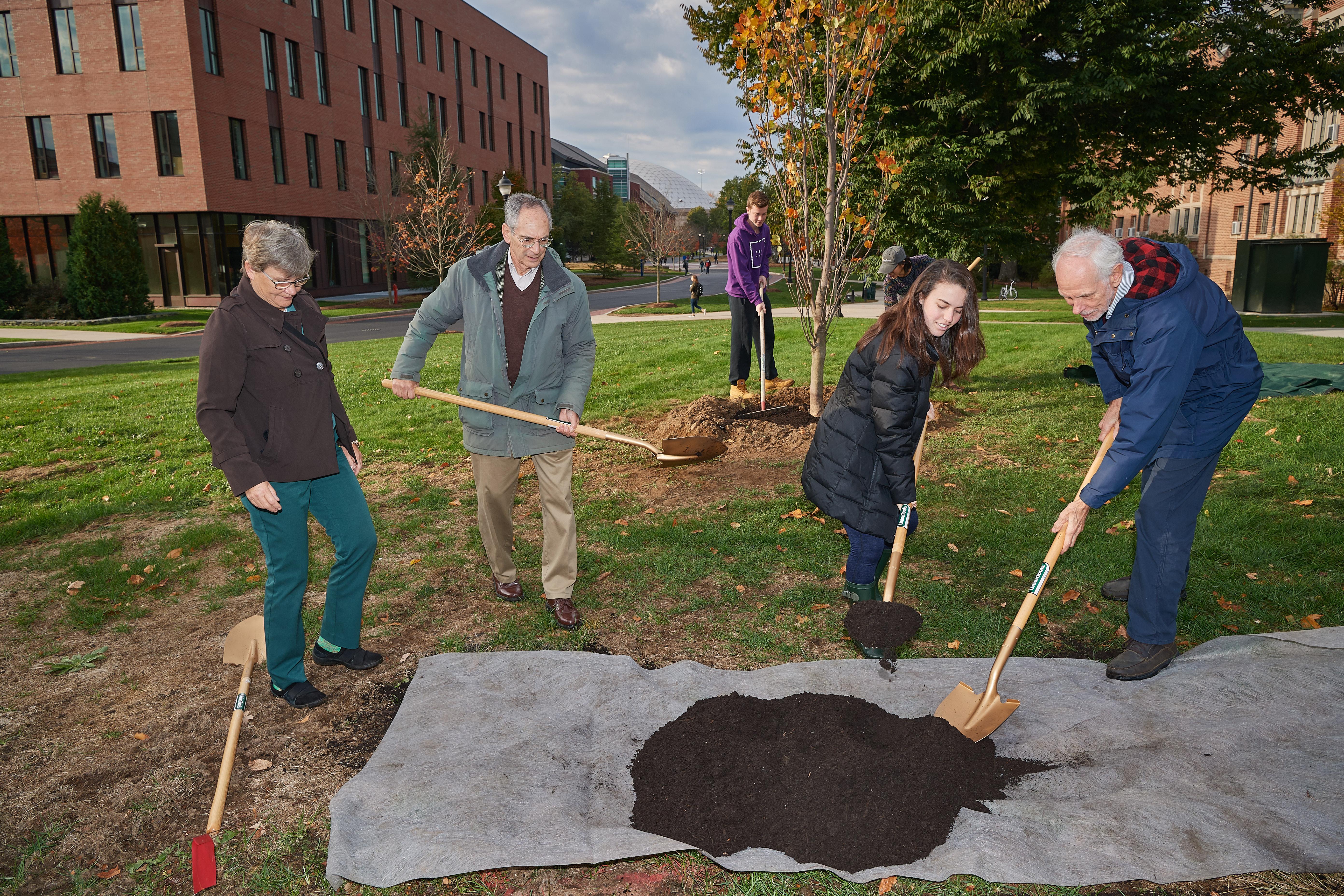 Eileen McHugh, university tree warden, left, Richard Brown, Distinguished Professor Emeritus of History, Natalie Roach '21 (CLAS), and Greg Anderson, Distinguished Professor Emeritus of Ecology and Evolutionary Biology, participate in the ceremonial planting of the Class of 2019 tree near the William H. Hall Building on Oct. 23, 2018. (Peter Morenus/UConn Photo)