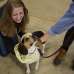 Animal science major Hailey Merrill '22 (CAHNR)  and biology major Amy Rand '20 (CLAS), dry off Spencer, a 17-month-old Beagle puppy after his bath. (Lucas Voghell '20 (CLAS)/UConn Photo)