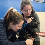 Pathobiology and veterinary science majors Mary Roche '19 (CAHNR), and Brooke Chawner '19 (CAHNR) hold a black lab puppy while he gets his nails clipped. (Lucas Voghell '20 (CLAS)/UConn Photo)