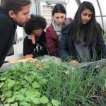 Adjunct professor Ryan O’Connor consults students enrolled in an Internet of Things course that uses emerging technology to improve plant life at UConn’s Spring Valley Farm. Students, from left, are Nicole Hamilton '19 (BUS), Tara Watrous '19 (CLAS), and Radhika Kanaskar '18 (BUS). (Claire Hall/UConn Photo)