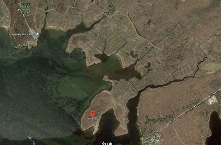 Evidence of drainage ditches is still visible today in places such as Barn Island, a 1,000+ acre preserve in Stonington, Connecticut. They can be seen in this image as regular parallel lines scarring the landscape. (Google Maps)