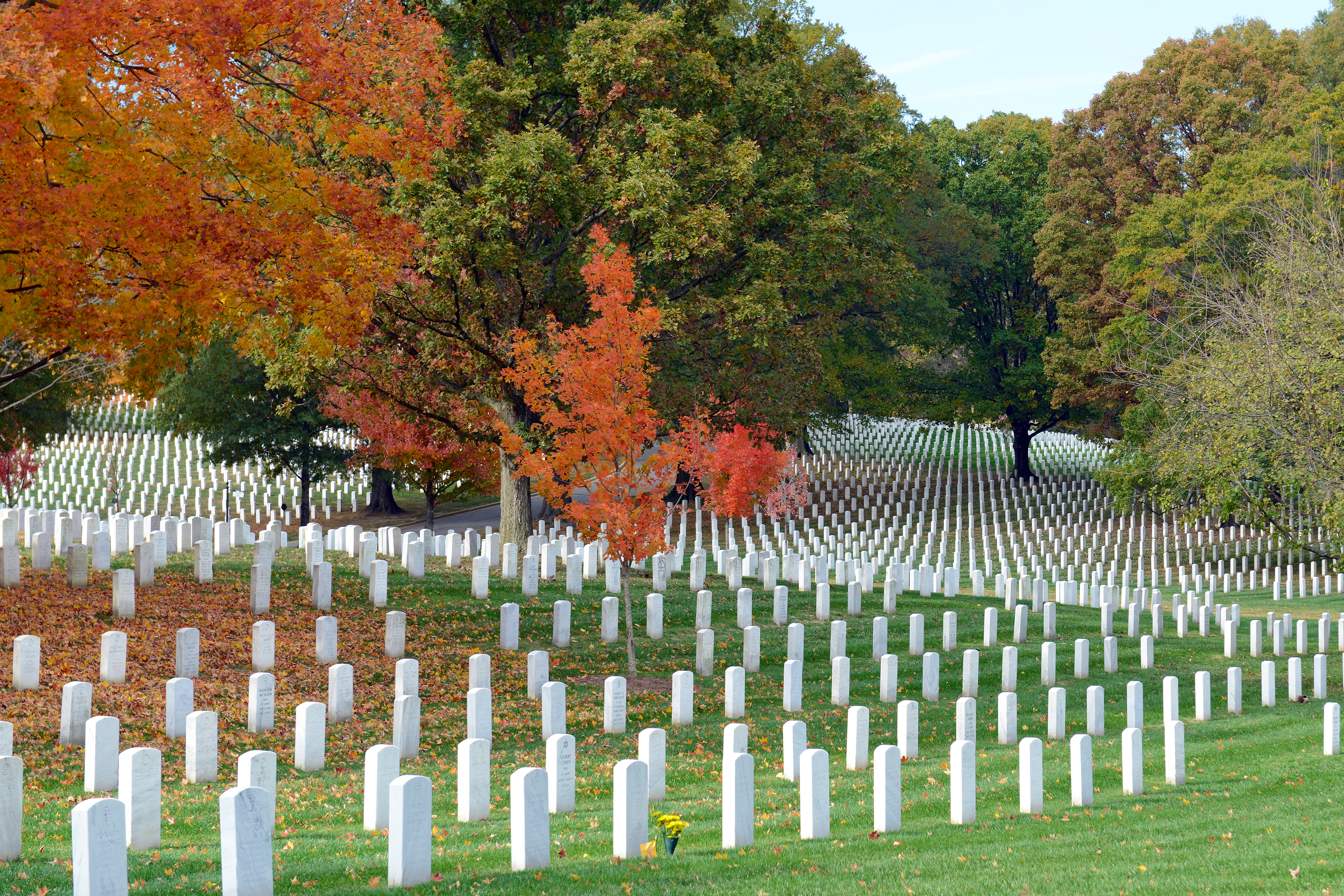 Headstones in Arlington National Cemetery in Washington D.C. (Getty Images)