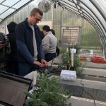 Sam Bartlett '19 (BUS, ENG) is enrolled in an elective offered by the School of Business that uses emerging technology to improve results at a greenhouse at UConn’s Spring Valley Farm. (Claire Hall/UConn Photo)