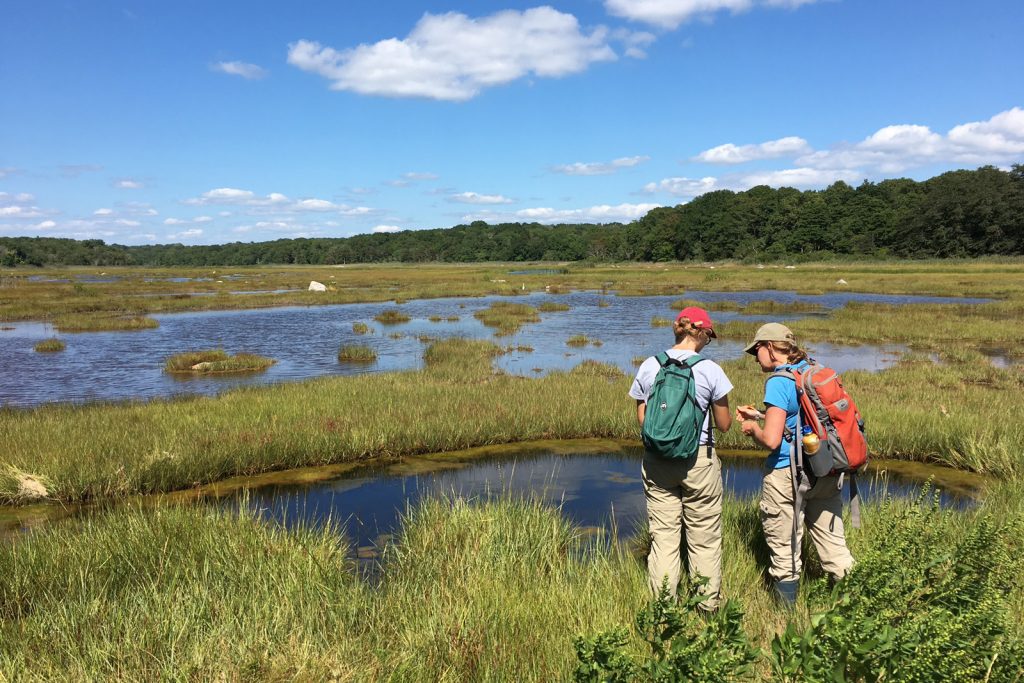 Madeline Kollegger '18 (CAHNR) and Beth Lawrence collecting data on surface water salinity in a tidally restored marsh at Barn Island Wildlife Management Area, Stonington, Connecticut, during an Advanced Wetland Ecology class. (Emily Couture '17 (CAHNR)/UConn Photo)
