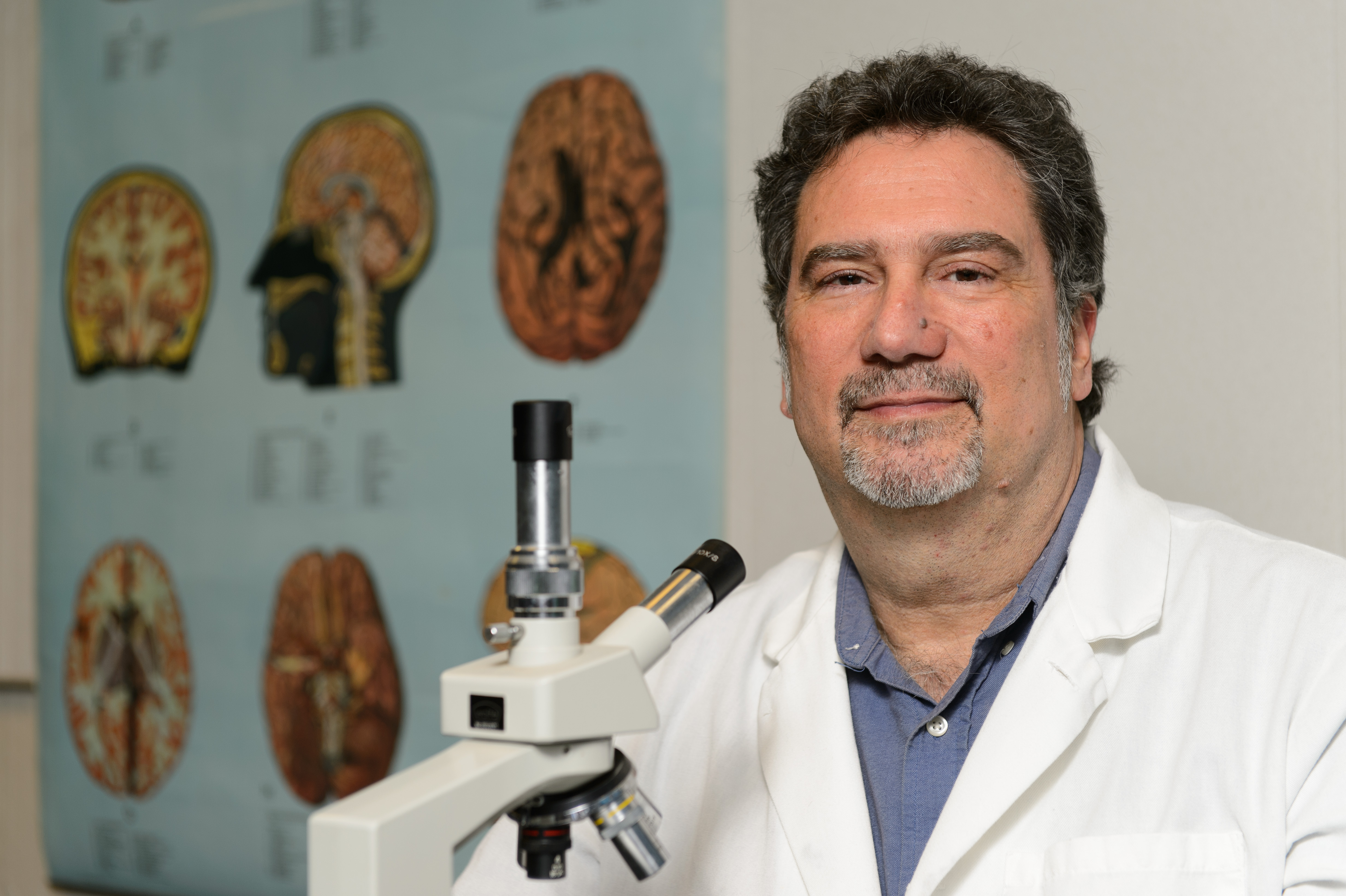 John Salamone, Board of Trustees Distinguished Professor of Psychology, in the lab at the Bousfield Building. (Peter Morenus/UConn File Photo)