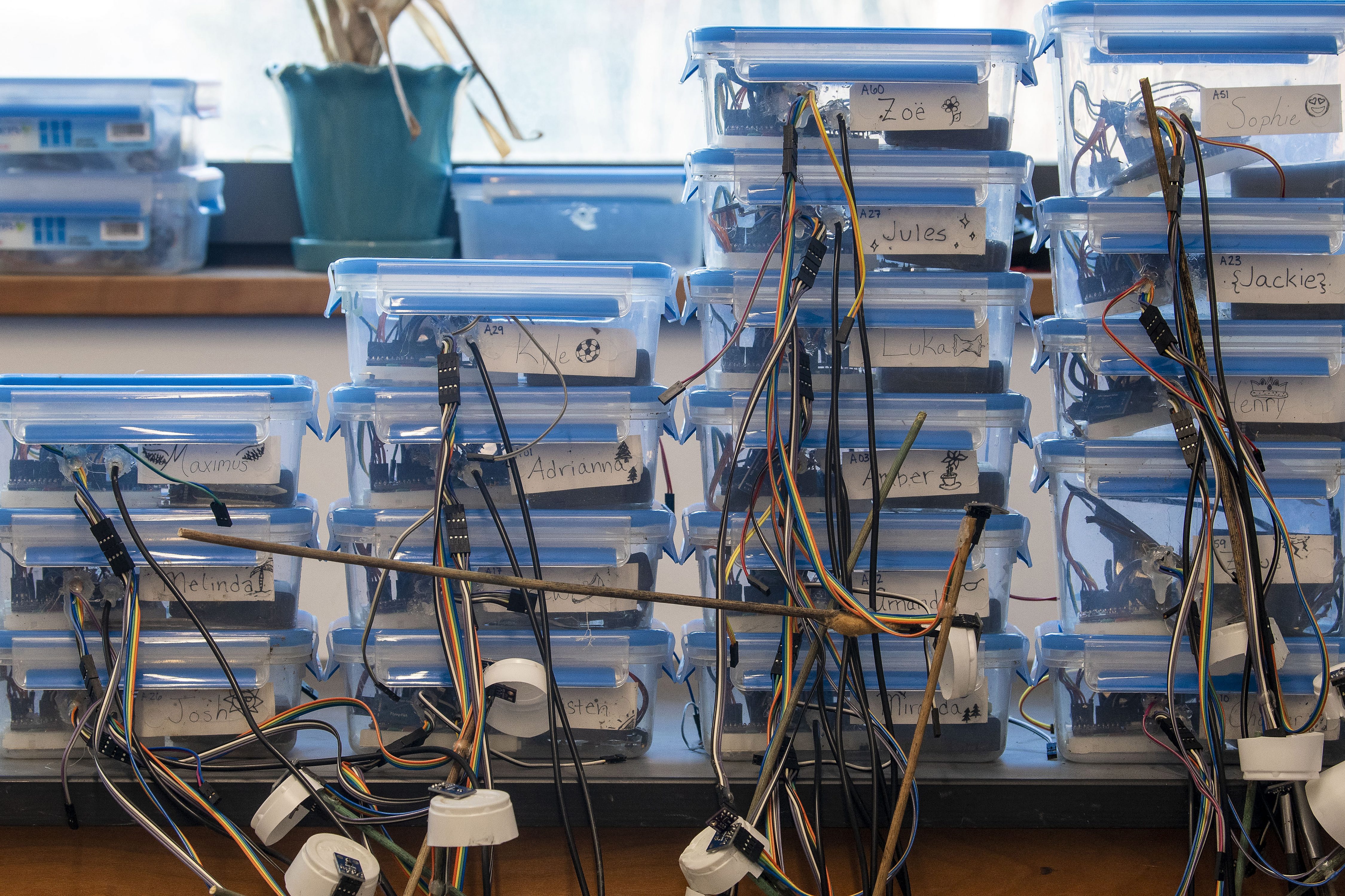 Stacks of Environmental Microcontroller Units (EMUs) that were developed by UConn researchers to facilitate the collection of fine-scale data. (Sean Flynn/UConn Photo)