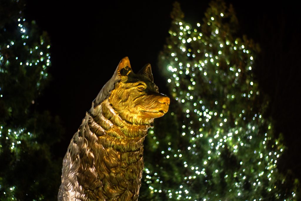 Jonathan the Husky is illuminated by holiday lights behind his statue near Gampel Pavilion. (Lucas Voghell ’20 (CLAS)/UConn Photo)