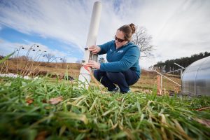 Kristina Wagstrom, assistant professor of chemical and biomolecular engineering, checks a precipitation collector at Spring Valley Student Farm on Nov. 30, 2018. (Peter Morenus/UConn Photo)