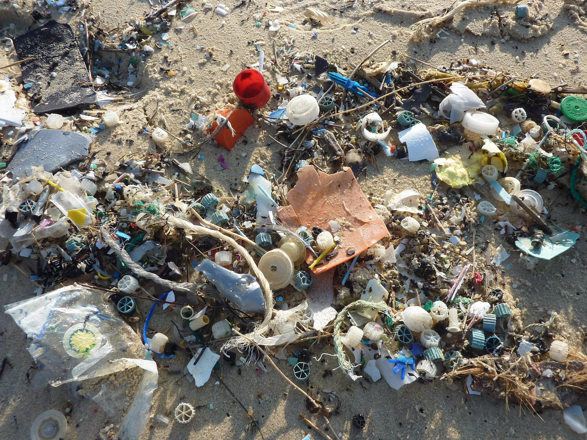 Photos of plastic in the ocean. Courtesy of Pixabay