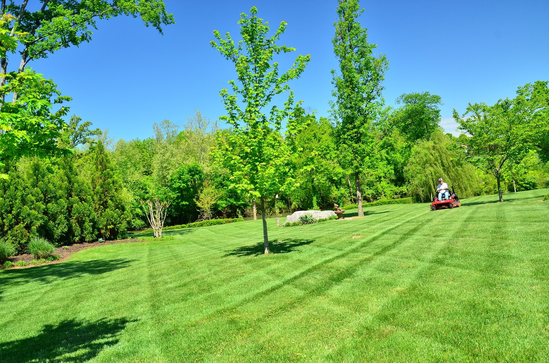 Manicured lawn. Photo courtesy of Pixabay.