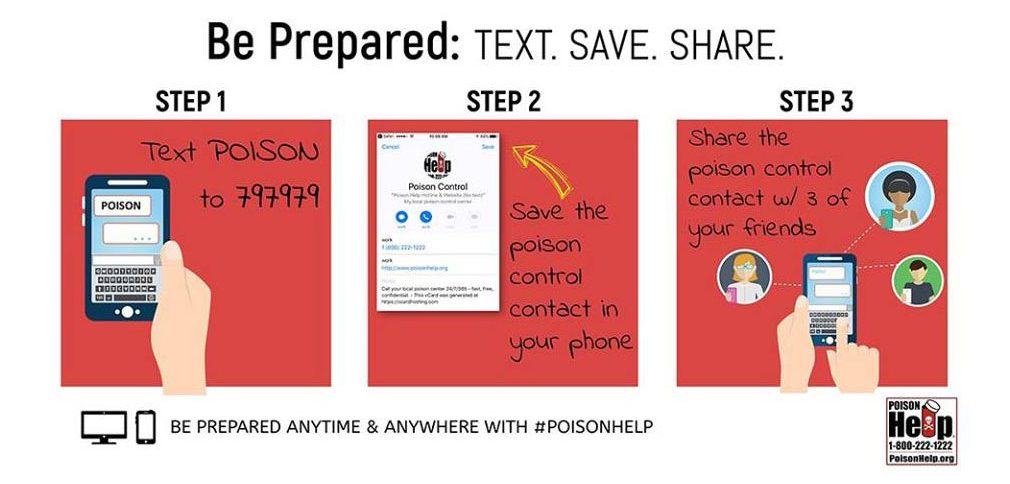 Infographic: Text. Save. Share.