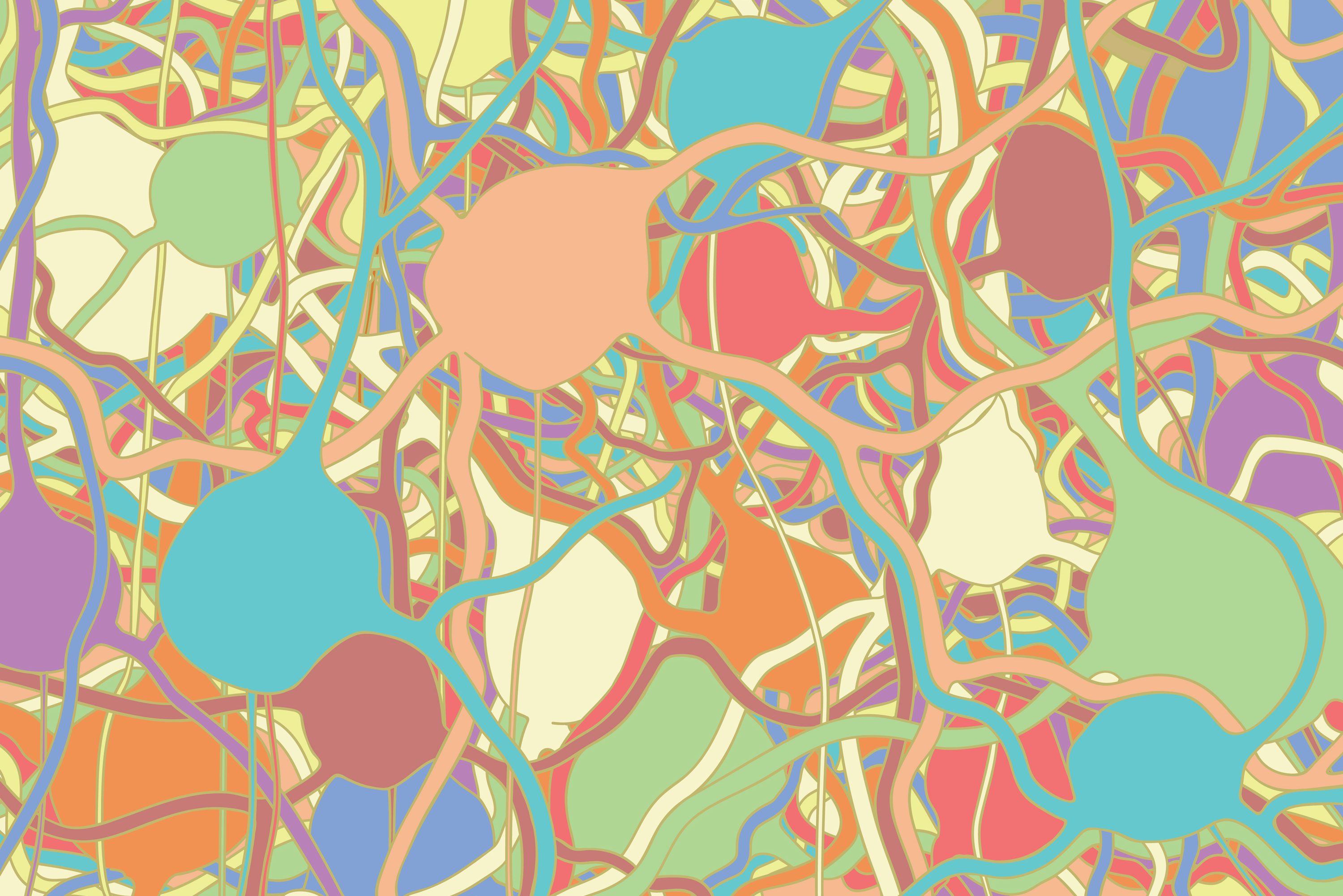 Neurons. (Matt Wimsatt/JAX Medical Illustration)