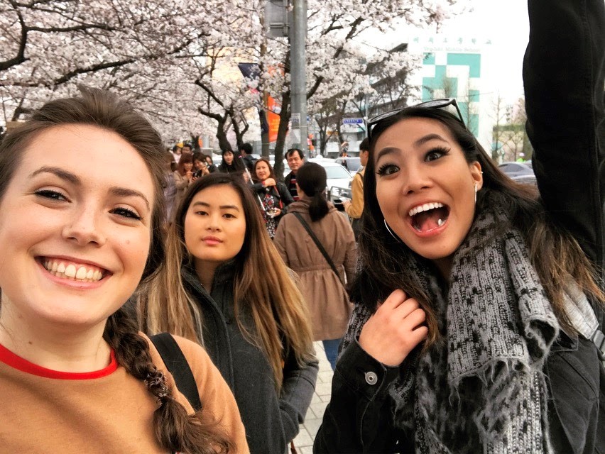Lisa Darminova, left, and Angela Villella, center, both of UConn, and Ellen Zhang of UC Irvine wander through the cherry blossoms in Hong Kong. (Submitted Photo)