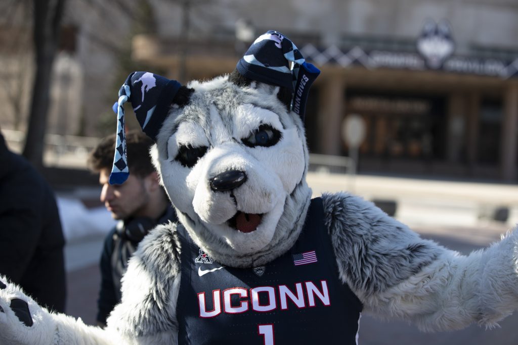The Husky mascot keeps his ears warm with a pair of argyle socks, while stirring up some Husky pride on UConn Giving Day, March 27-28. (UConn Foundation Photo)