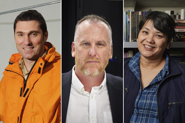 Humanists, Engineer Named 2019 Distinguished Professors - UConn Today